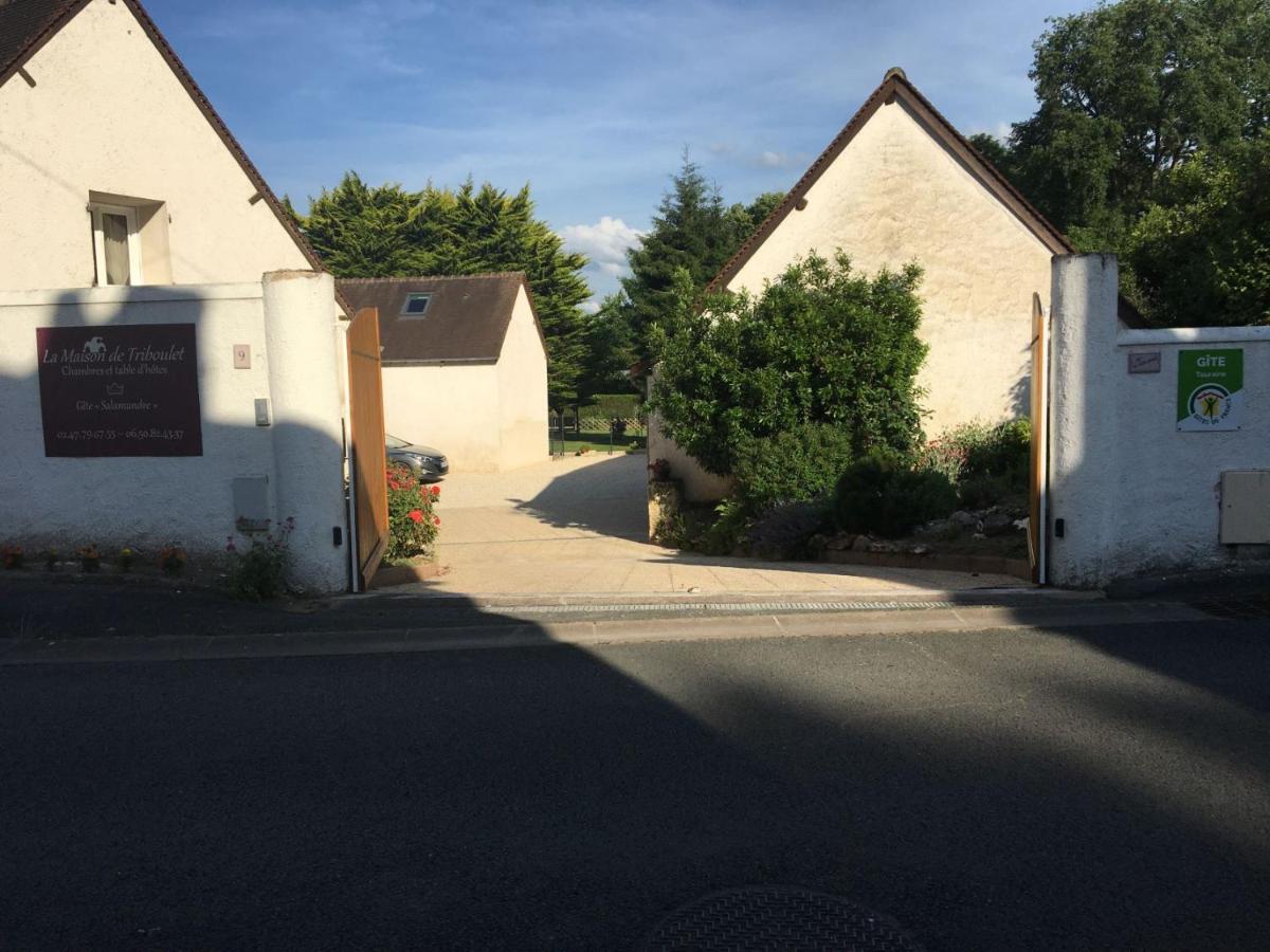 La Maison De Triboulet Chambres Et Table D'Hotes -Amboise- Pocé-sur-Cisse Dış mekan fotoğraf